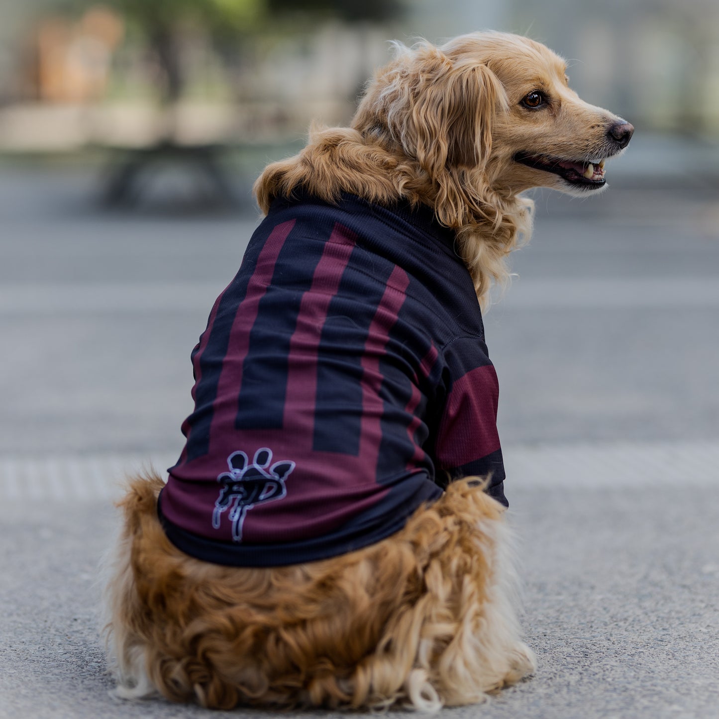 Polera Filtro UV 50+ Freshcore Milan