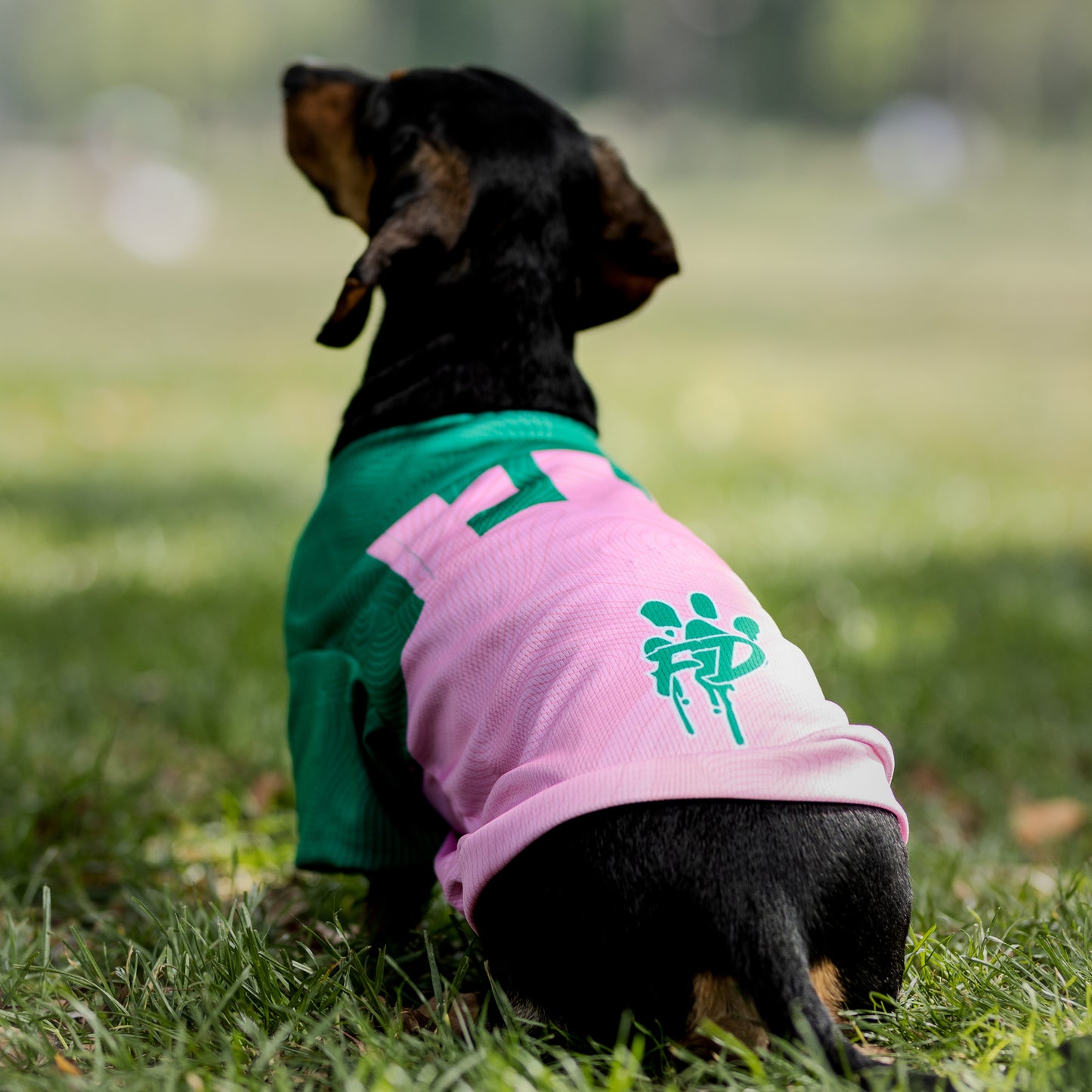 Polera Filtro UV 50+ Freshcore Japo Green