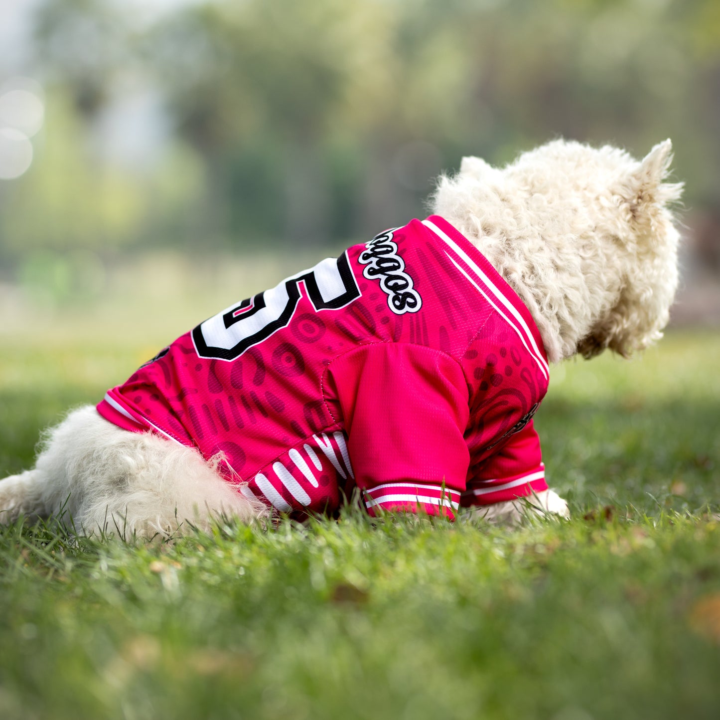 Polera Filtro UV 50+ FD 25 Fuchsia