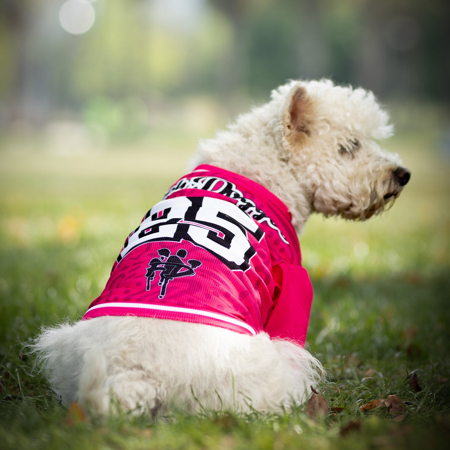 Polera Filtro UV 50+ FD 25 Fuchsia