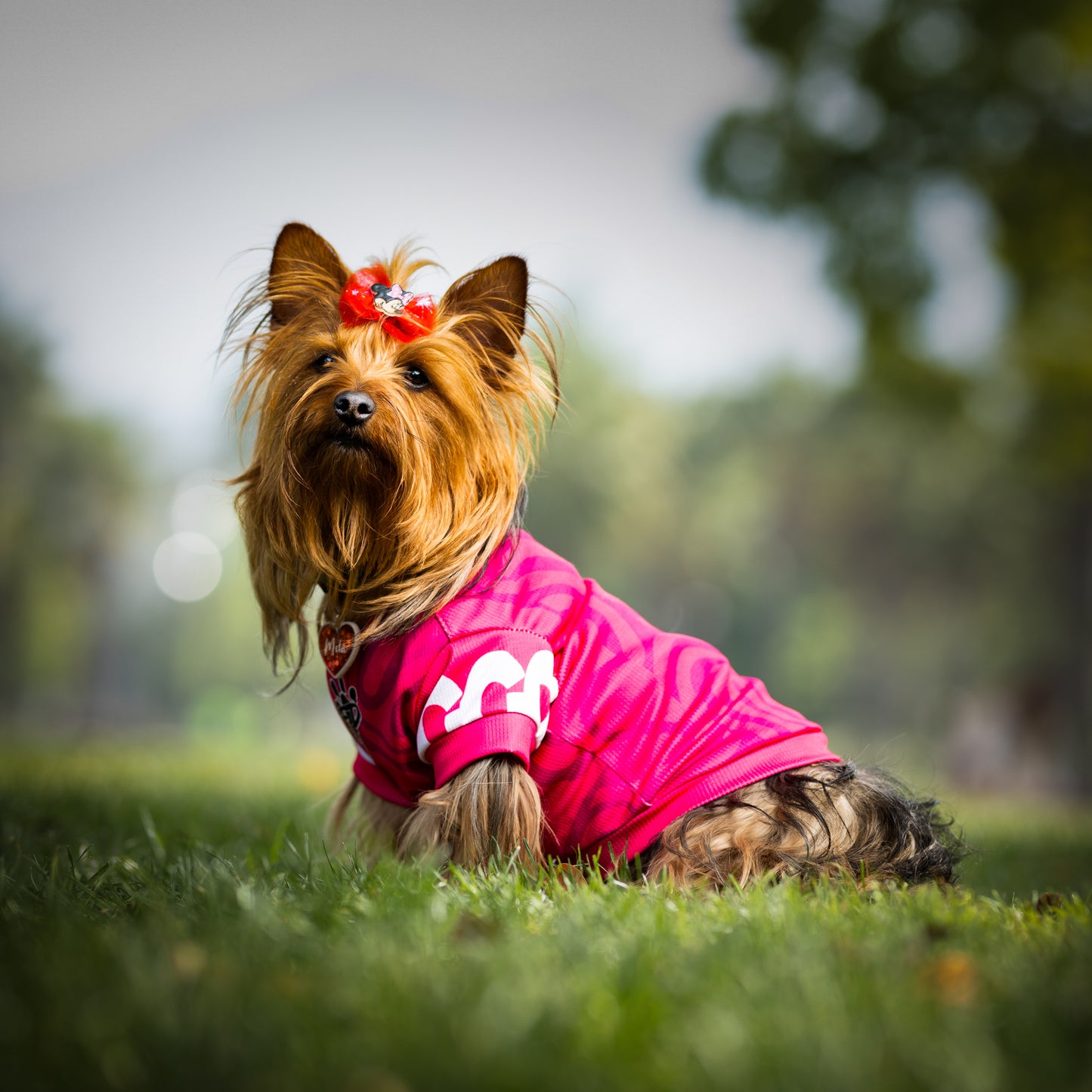 Polera Filtro UV 50+ Be like Fuchsia