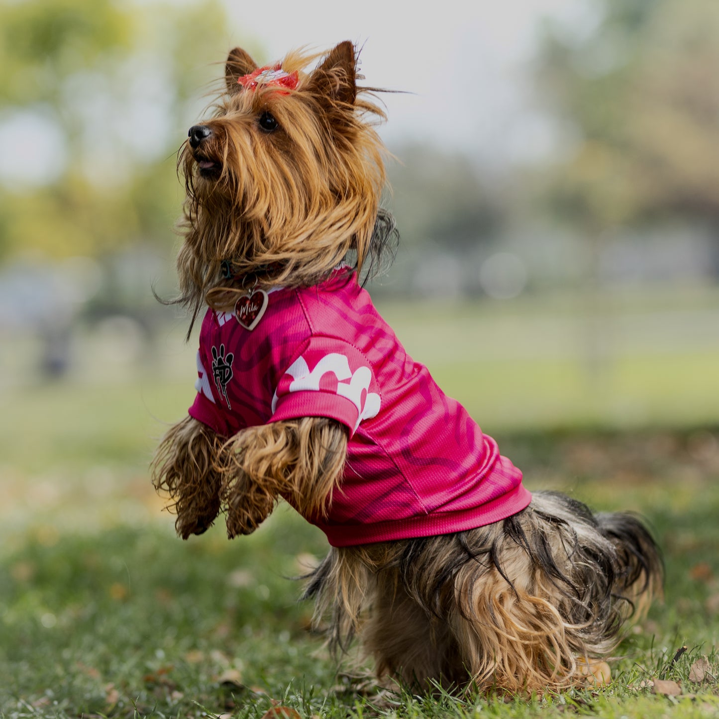 Polera Filtro UV 50+ Be like Fuchsia