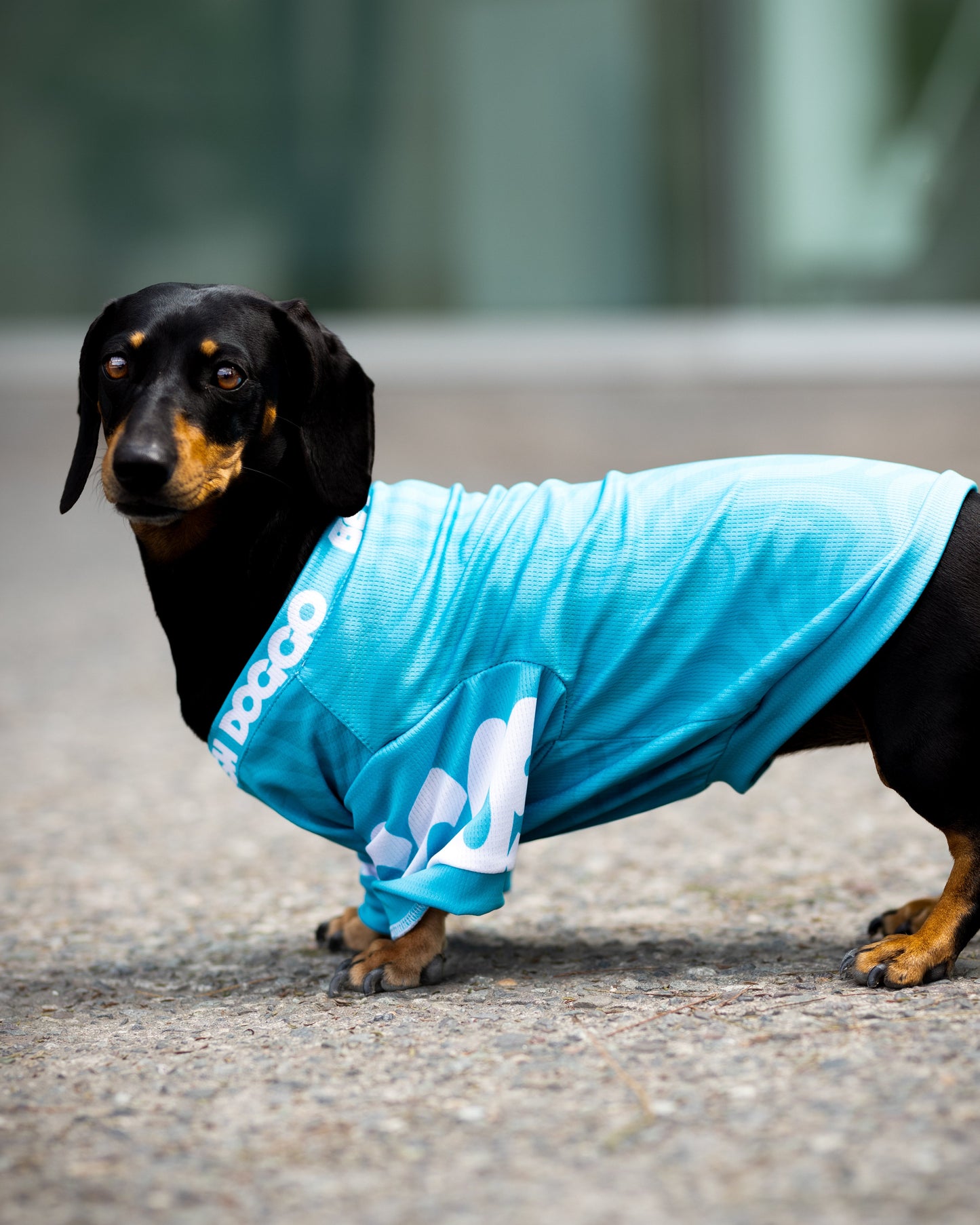 Polera Filtro UV 50+ Be like Turquoise