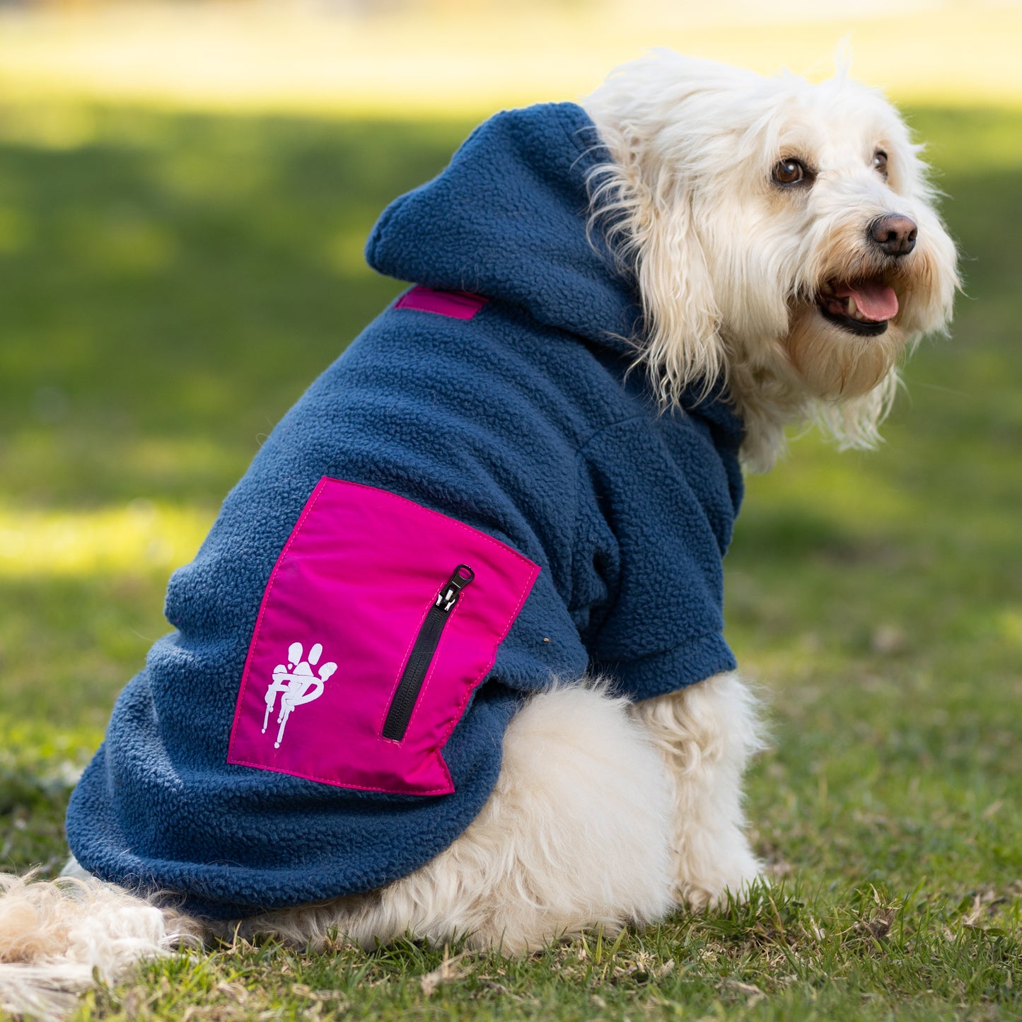 Chiporro Fresh Doggos - Colección Chiperros Fresh Doggos - Azul, Fucsia