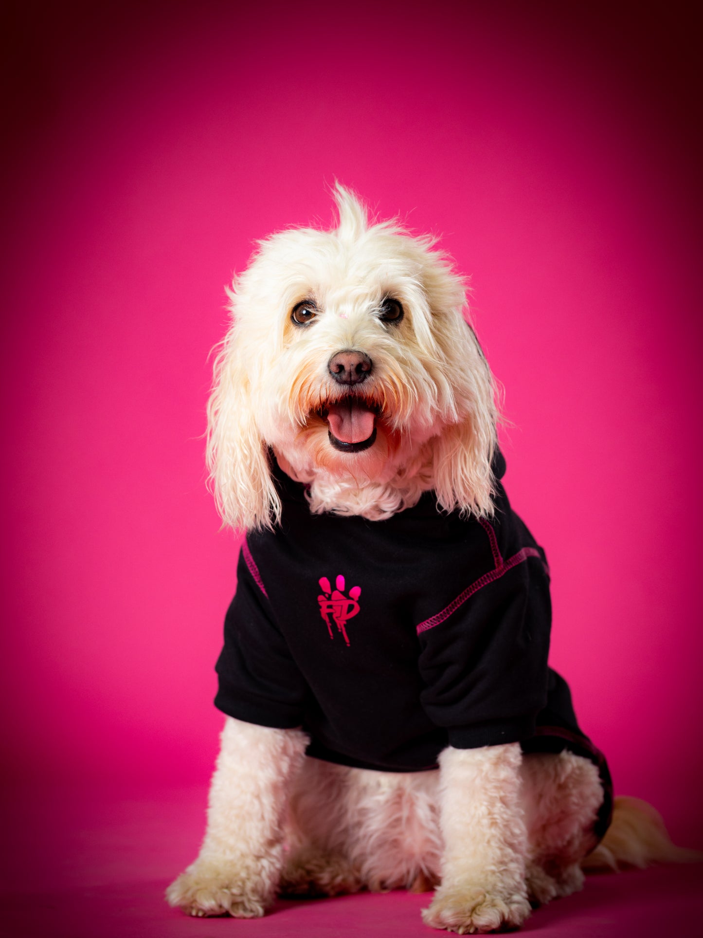 Polerón de Algodón para Perros - Colección FD25 2025 | Colores de Temporada y Estampados Exclusivos Negro/Fucsia