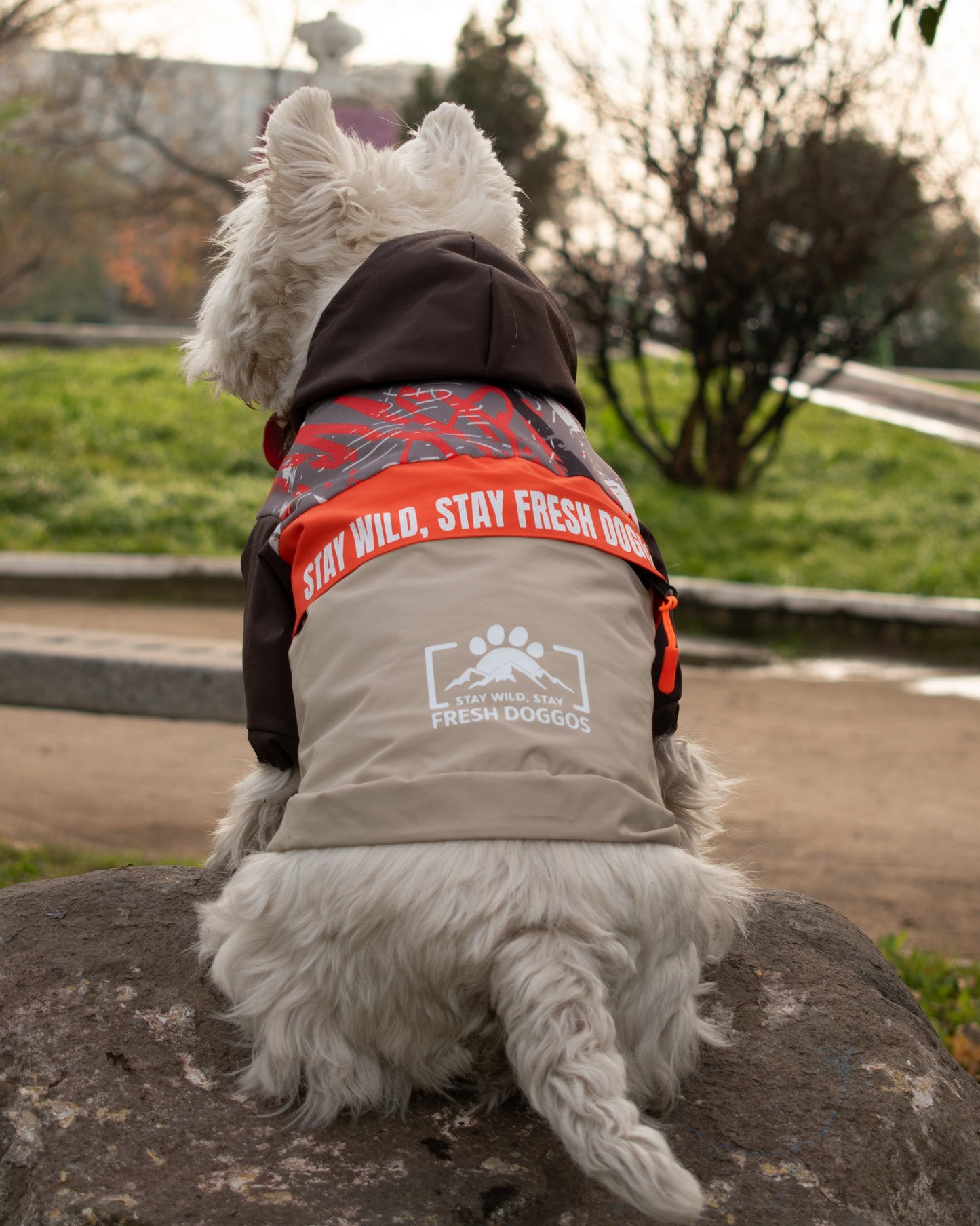 Impermeable para Perros Stay Wild – Fresh Doggos Beige/Café/Naranjo 🐶🌧️