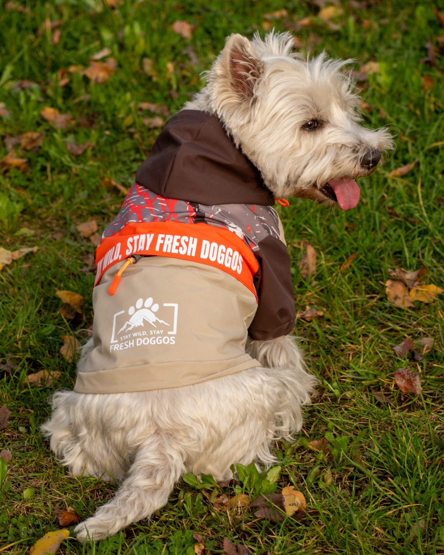 Impermeable para Perros Stay Wild – Fresh Doggos Beige/Café/Naranjo 🐶🌧️
