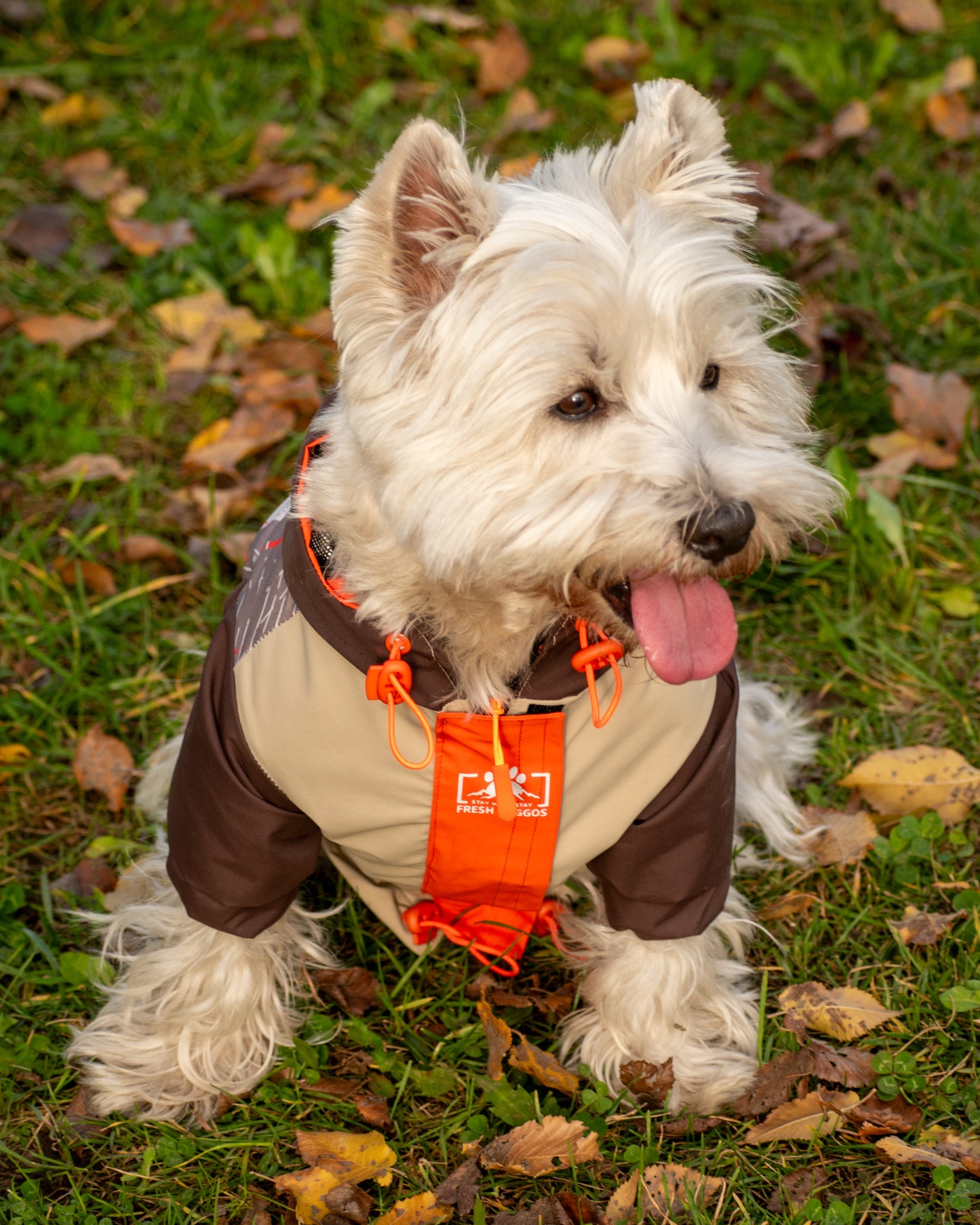 Impermeable para Perros Stay Wild – Fresh Doggos Beige/Café/Naranjo 🐶🌧️