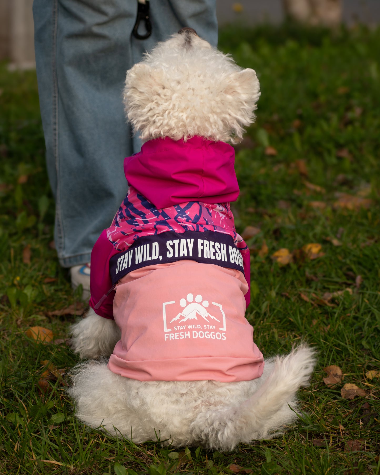 Impermeable para Perros Stay Wild – Fresh Doggos Rosado/Fucsia/Morado 🐶🌧️