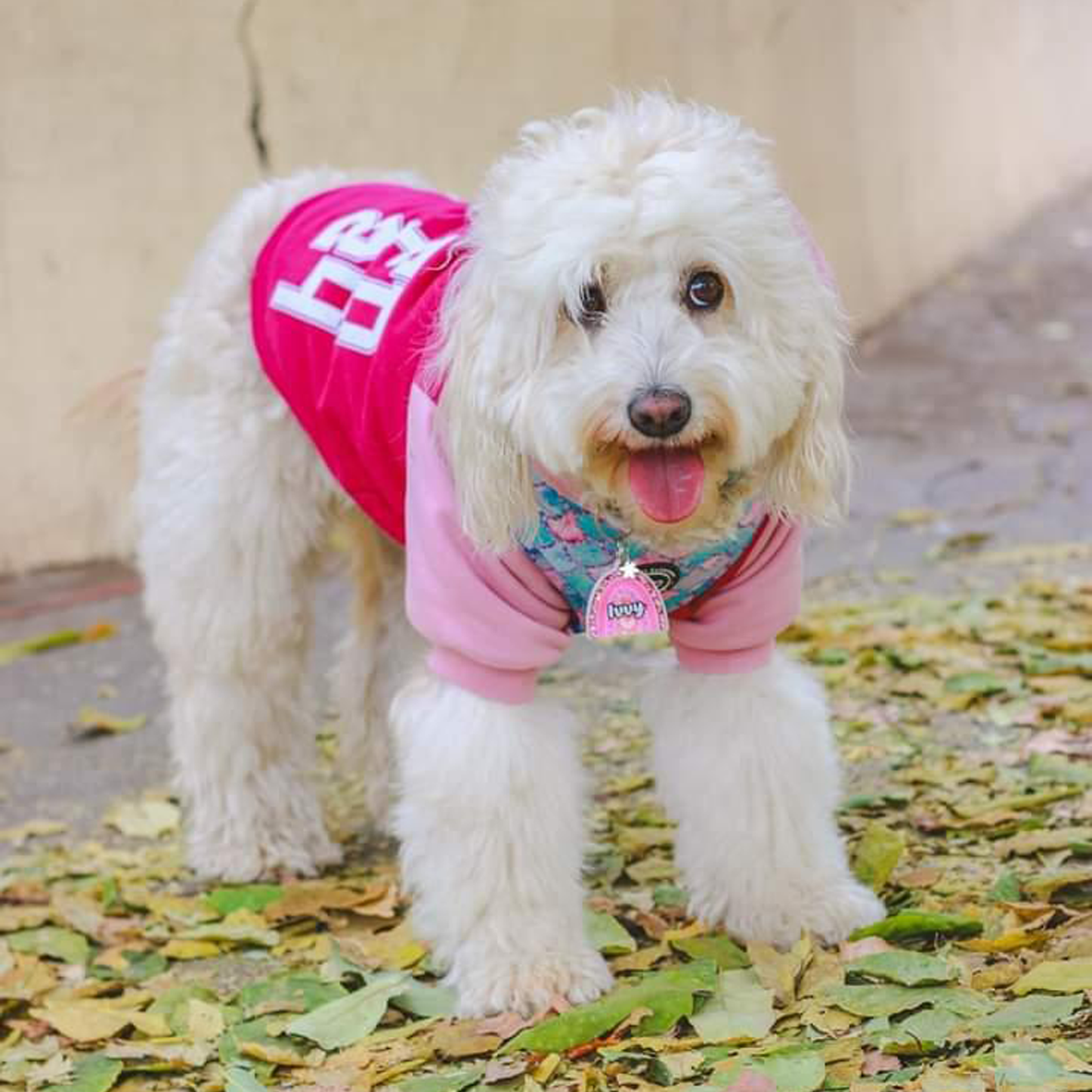 Polerón para perro FD24 Orquídea/Palo rosa
