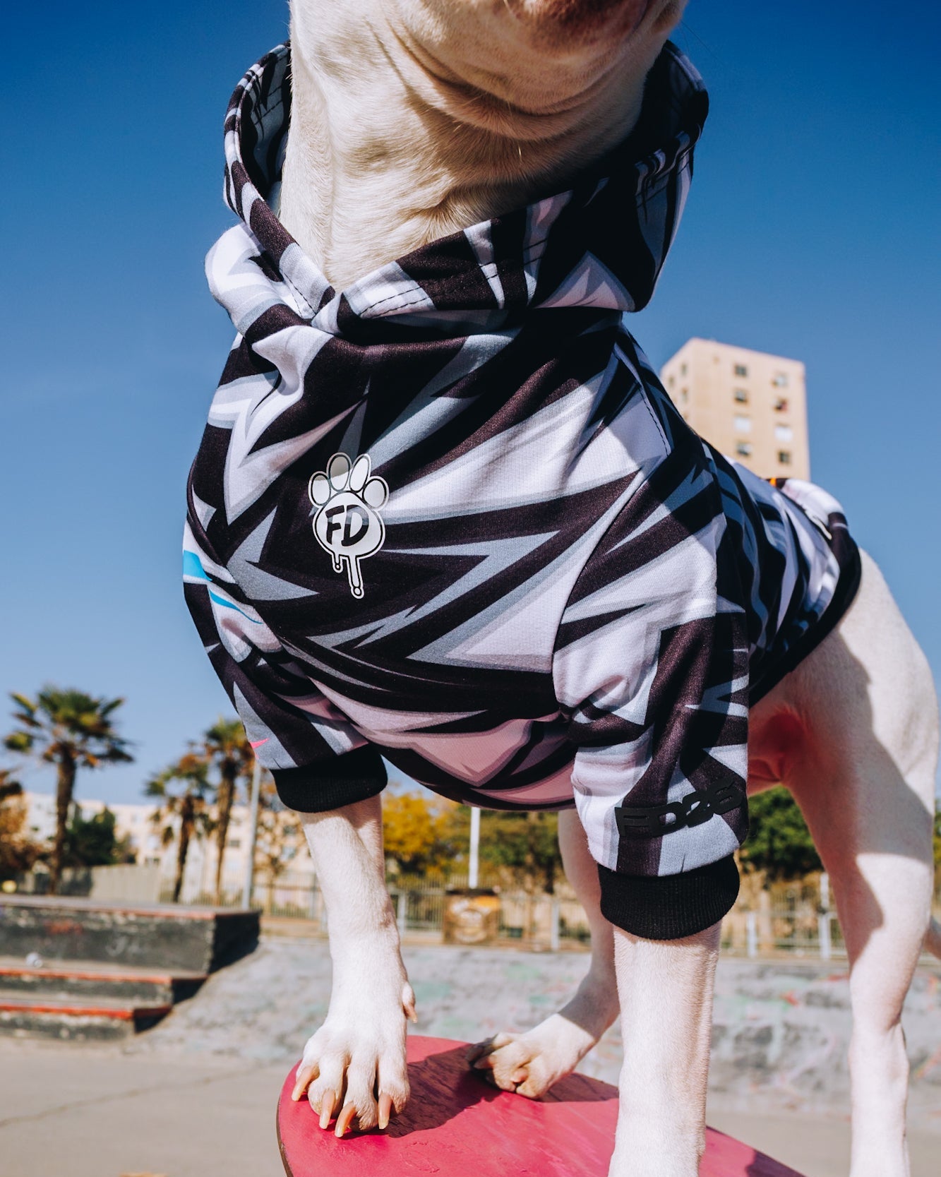 Polerón de Polyester Sublimado para Perros - Colección Actitud FD26 | Colores de Temporada y Estampados Exclusivos Ziggy