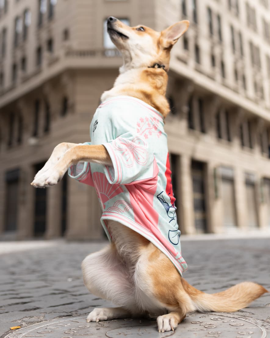 Polera filtro UV Sukajan Kitsune Khloemi