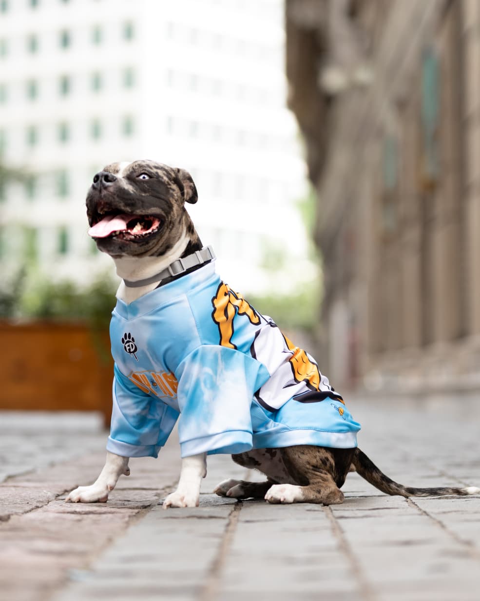Polera filtro UV Daisy Doggo