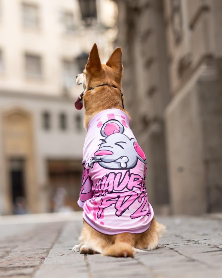 Polera filtro UV Guauren Rosado