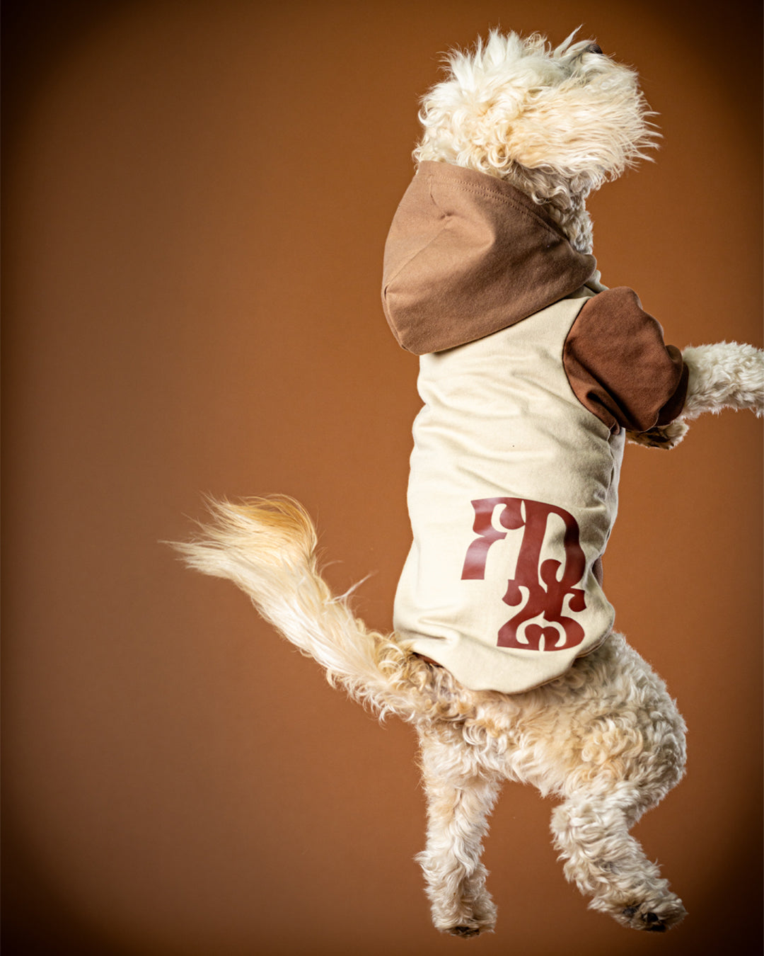 Polerón de Algodón para Perros - Colección FD25 2025 | Colores de Temporada y Estampados Exclusivos Trilogía tierra