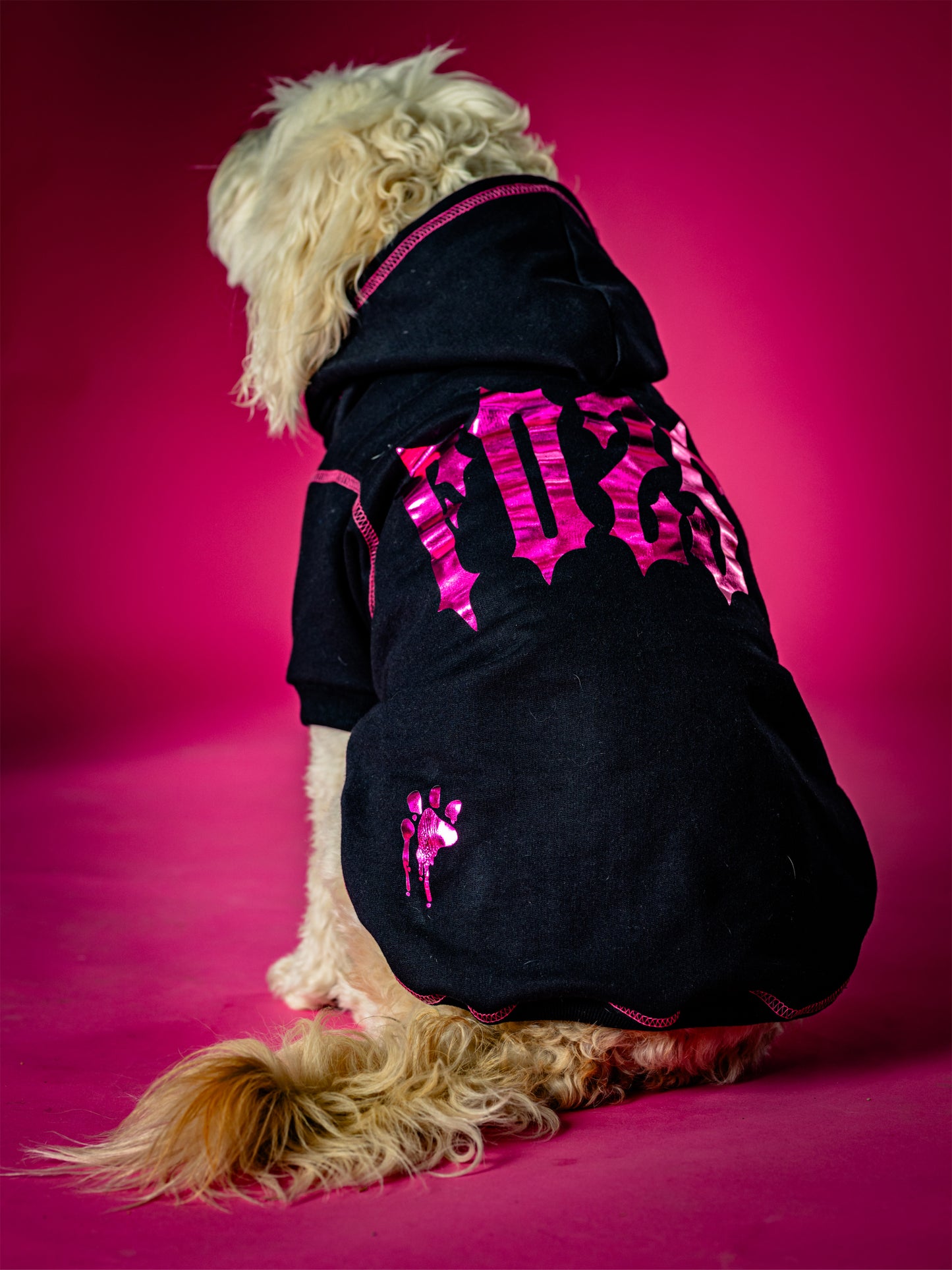 Polerón de Algodón para Perros - Colección FD25 2025 | Colores de Temporada y Estampados Exclusivos Negro/Fucsia