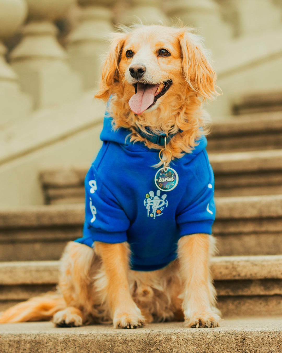 Polerón para Perro Colección Complerrito – x @mokka.rin Azul