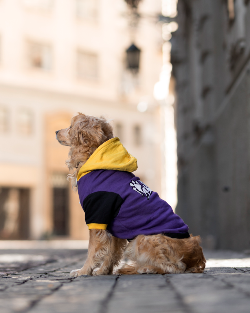 Polerón para perro Stay Perrísimo morado