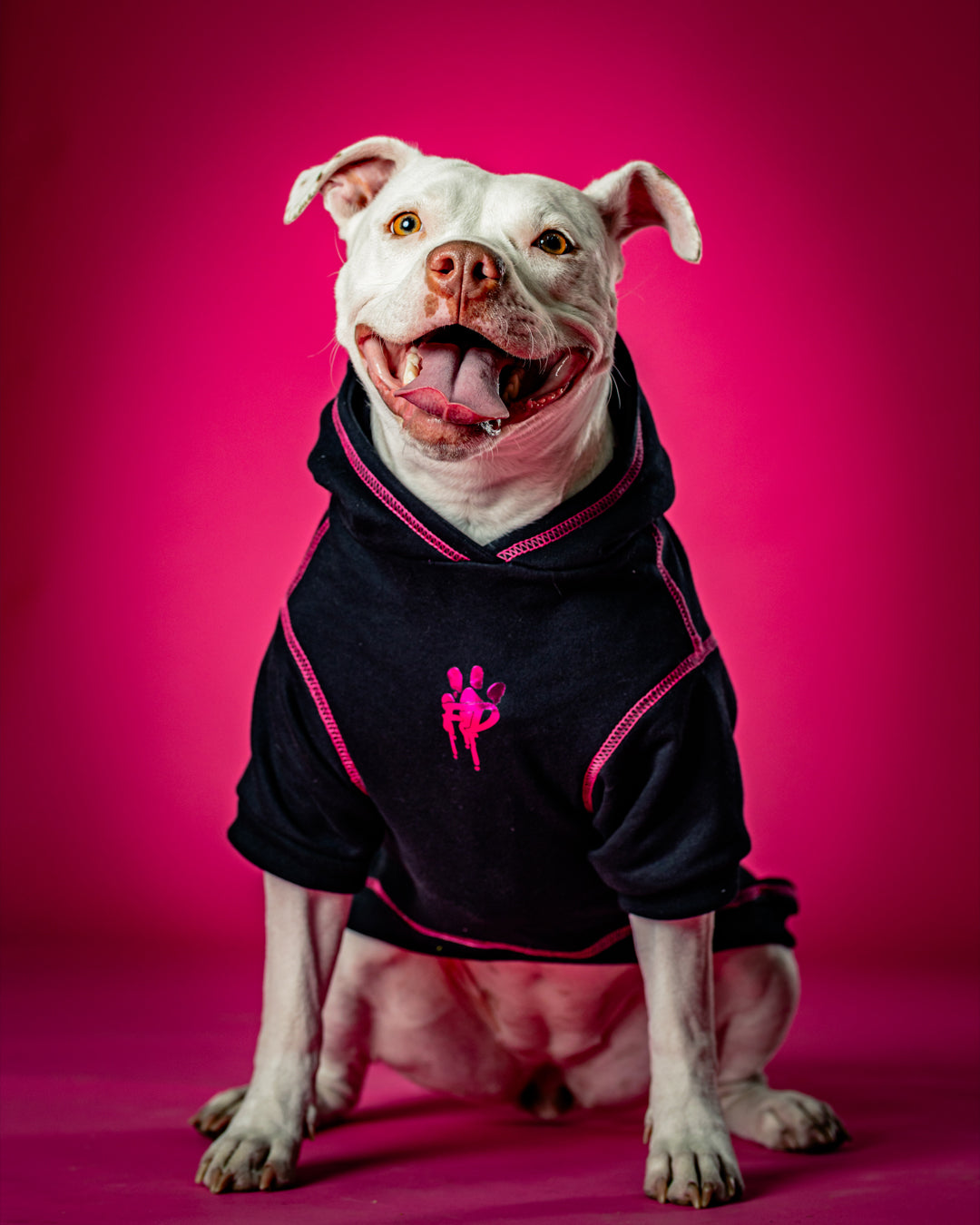 Polerón de Algodón para Perros - Colección FD25 2025 | Colores de Temporada y Estampados Exclusivos Negro/Fucsia