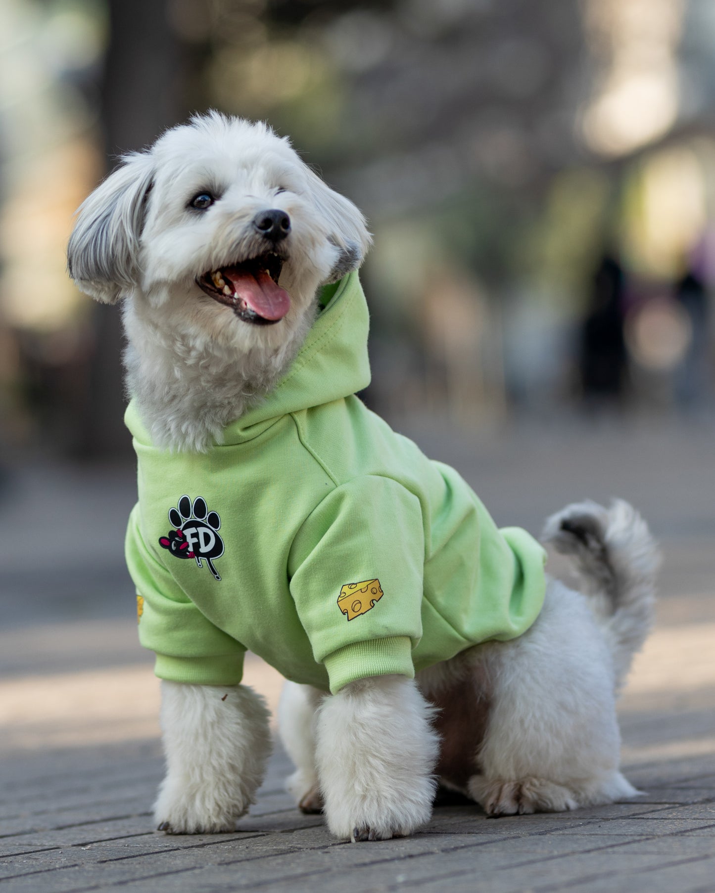 Polerón de Algodón para Perros - Colección Guauren | Color Verde Lima