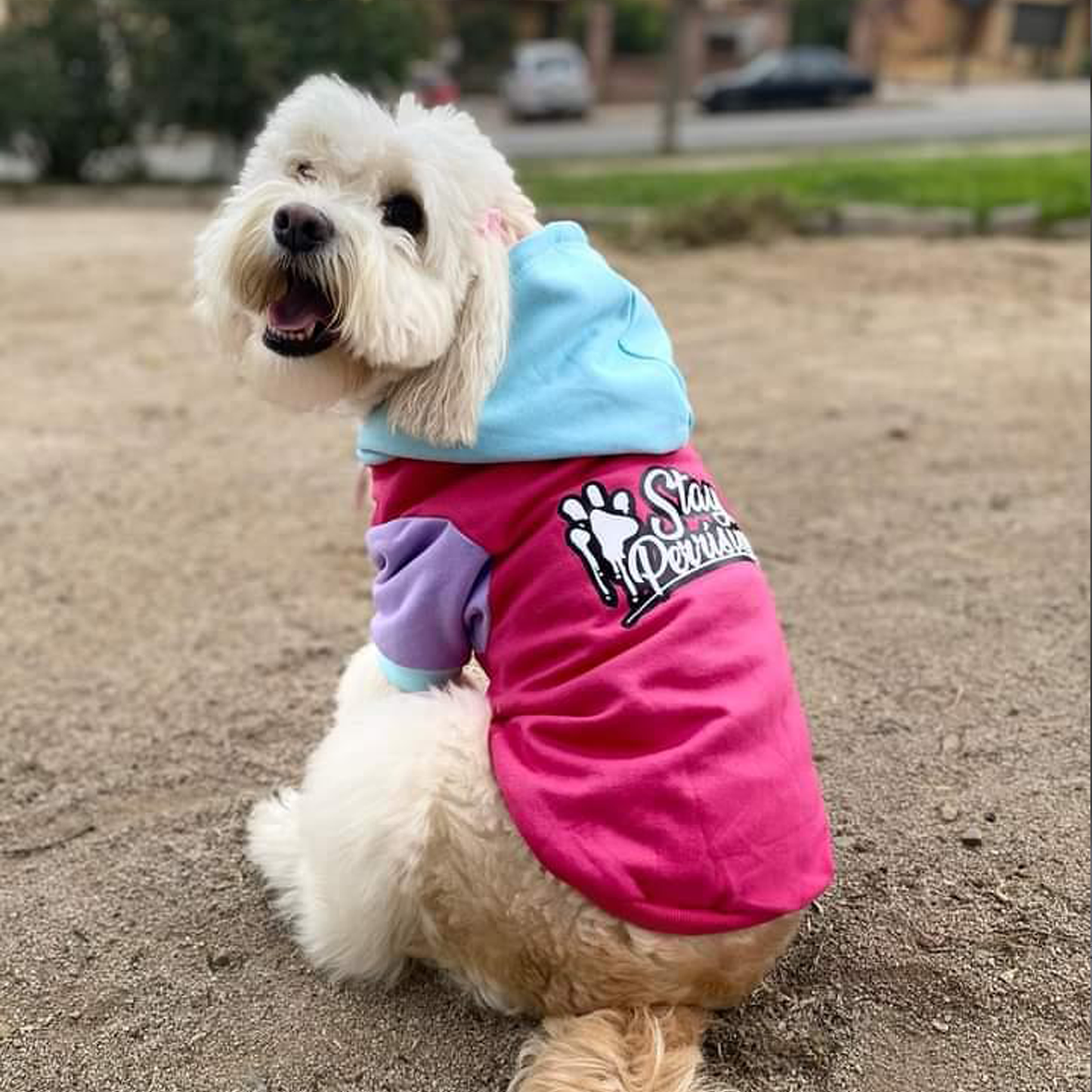 Polerón para perro Stay Perrísima Fucsia