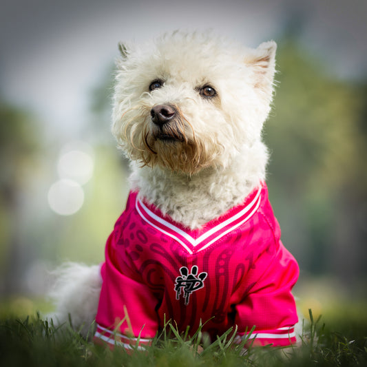 Polera Filtro UV 50+ FD 25 Fuchsia