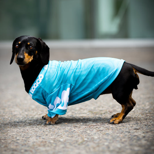 Polera Filtro UV 50+ Be like Turquoise
