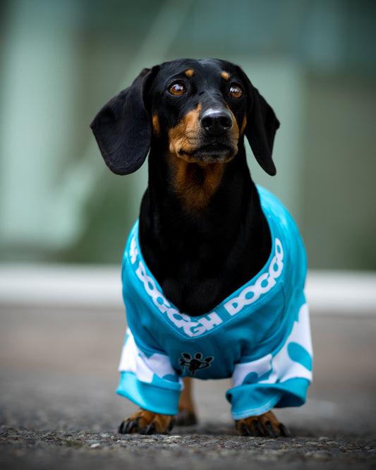 Polera Filtro UV 50+ Be like Turquoise