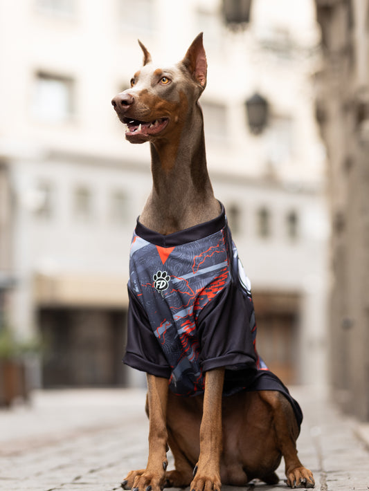 Colección FD26 Gris/Naranjo