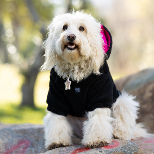 Chiporro Fresh Doggos - Colección Chiperros Fresh Doggos - Negro, fucsia
