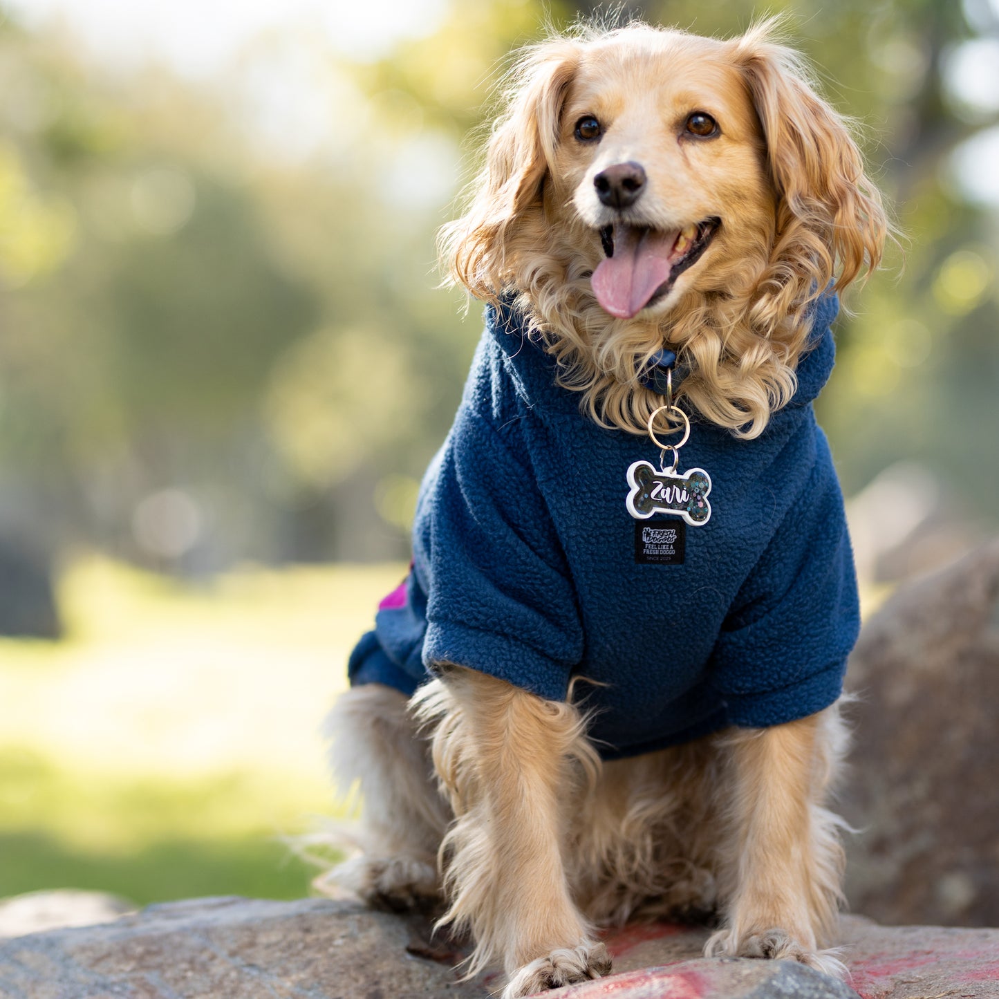 Chiporro Fresh Doggos - Colección Chiperros Fresh Doggos - Azul, Fucsia