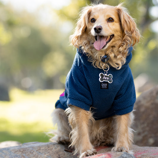 Chiporro Fresh Doggos - Colección Chiperros Fresh Doggos - Azul, Fucsia