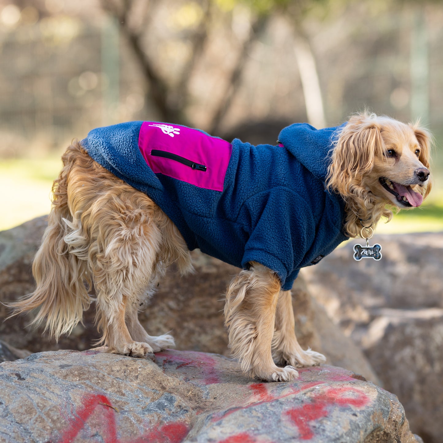 Chiporro Fresh Doggos - Colección Chiperros Fresh Doggos - Azul, Fucsia