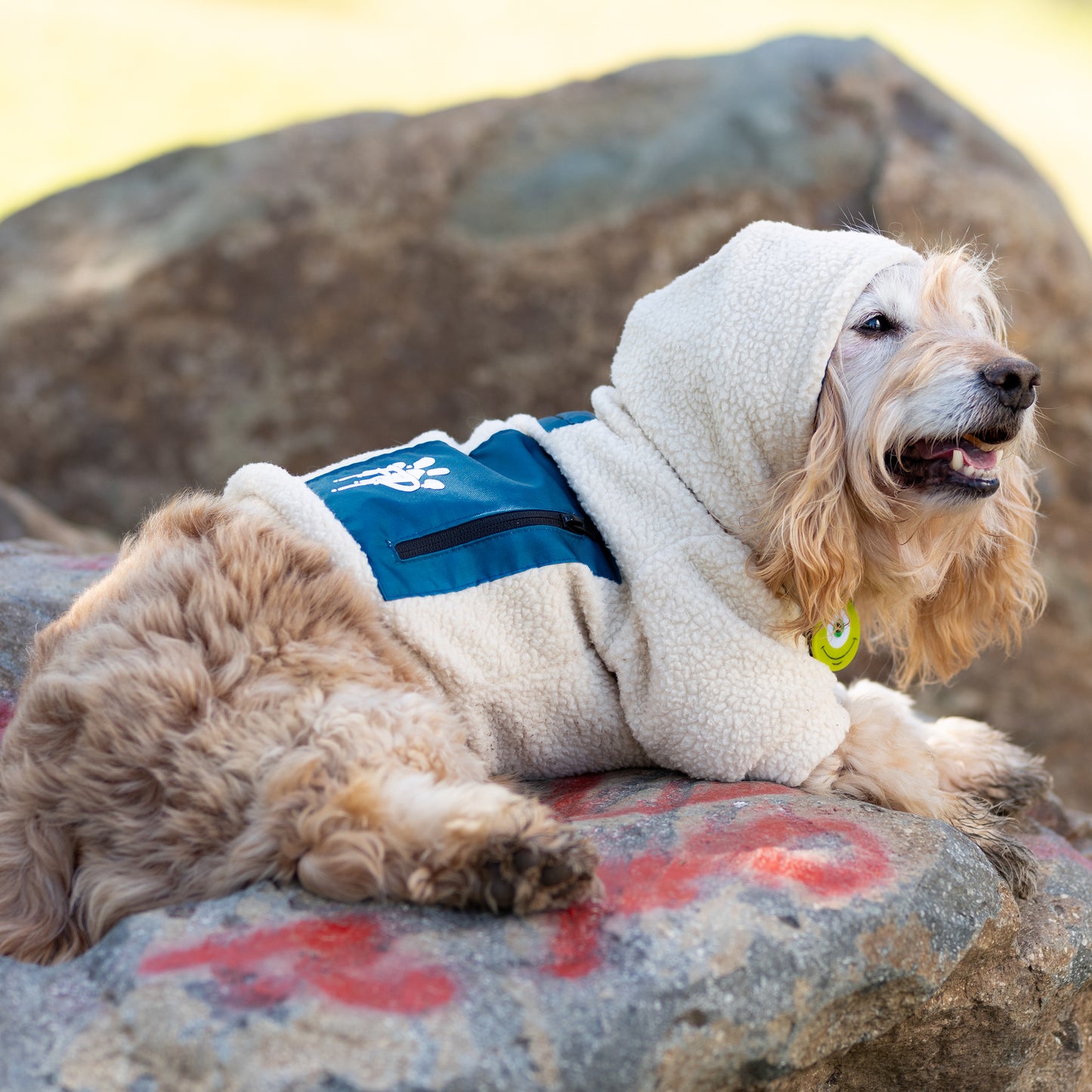 Chiporro Fresh Doggos - Colección Chiperros Fresh Doggos - Blanco crudo, verde