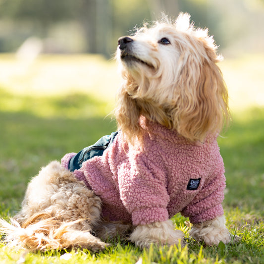 Chiporro Fresh Doggos - Colección Chiperros Fresh Doggos - Palo rosa, verde
