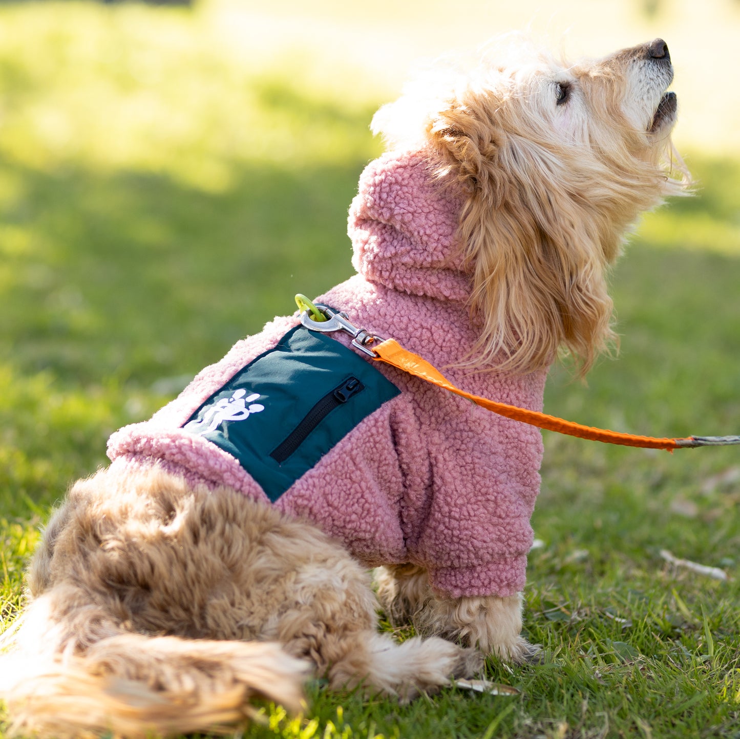 Chiporro Fresh Doggos - Colección Chiperros Fresh Doggos - Palo rosa, verde