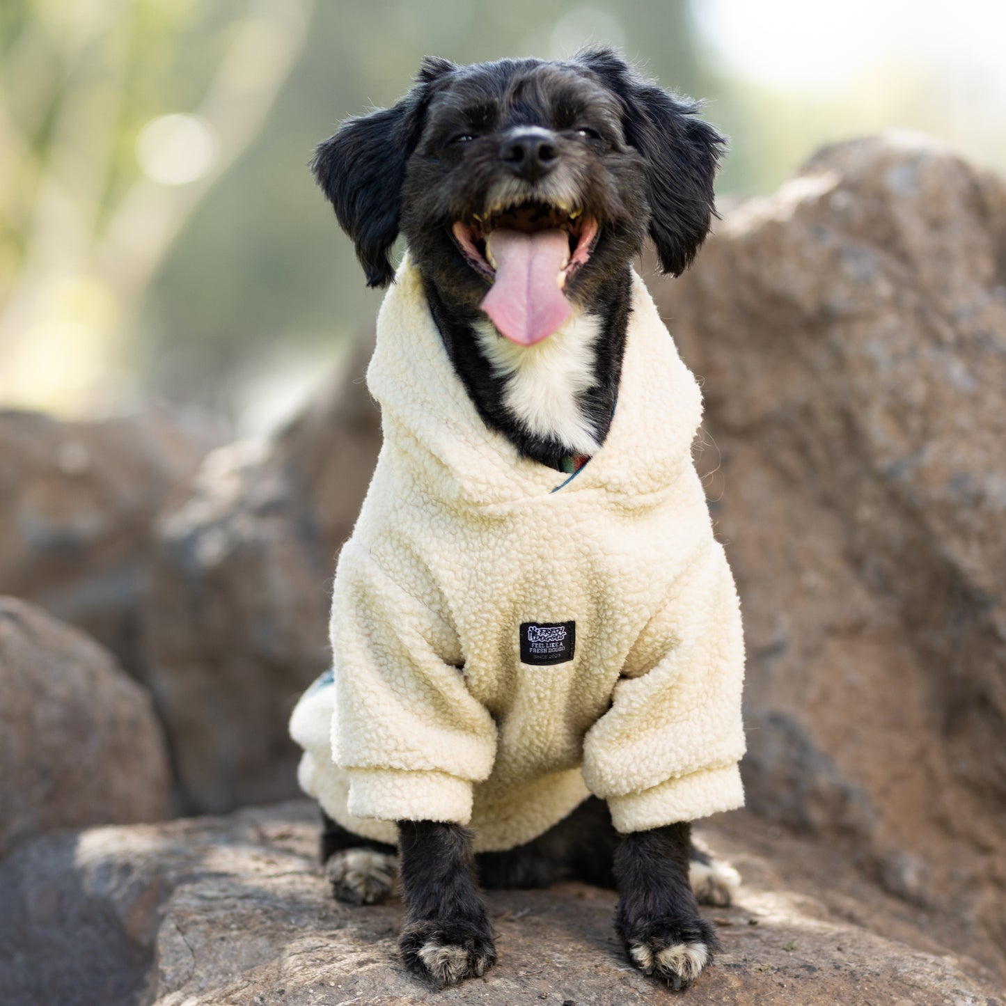 Chiporro Fresh Doggos - Colección Chiperros Fresh Doggos - Blanco crudo, verde