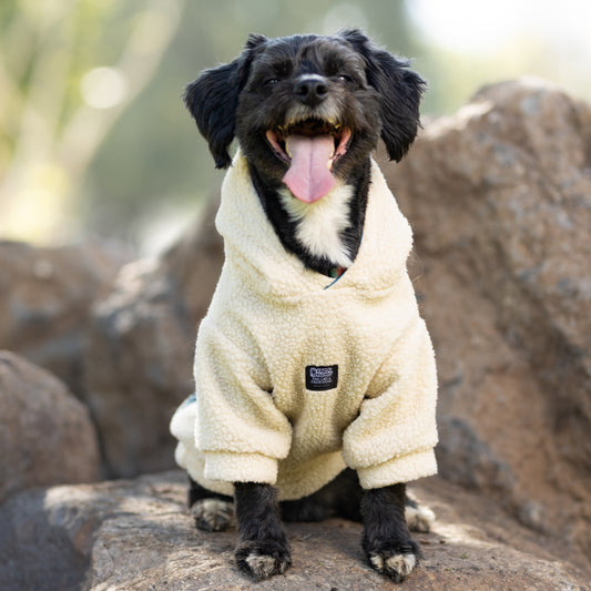 Chiporro Fresh Doggos - Colección Chiperros Fresh Doggos - Blanco crudo, verde