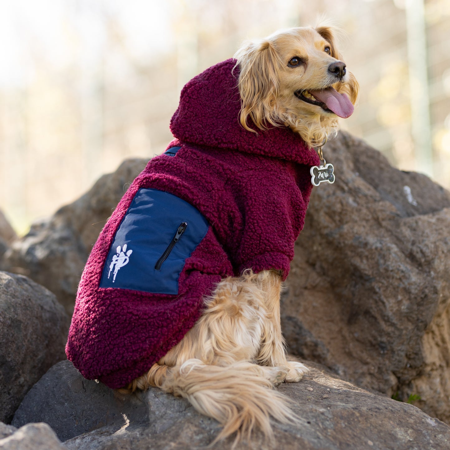 Chiporro Fresh Doggos - Colección Chiperros Fresh Doggos - Burdeo, Azul Francia