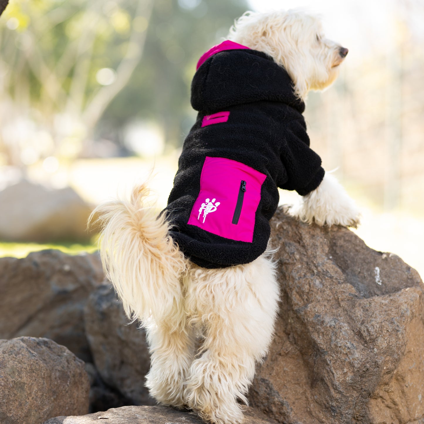 Chiporro Fresh Doggos - Colección Chiperros Fresh Doggos - Negro, fucsia