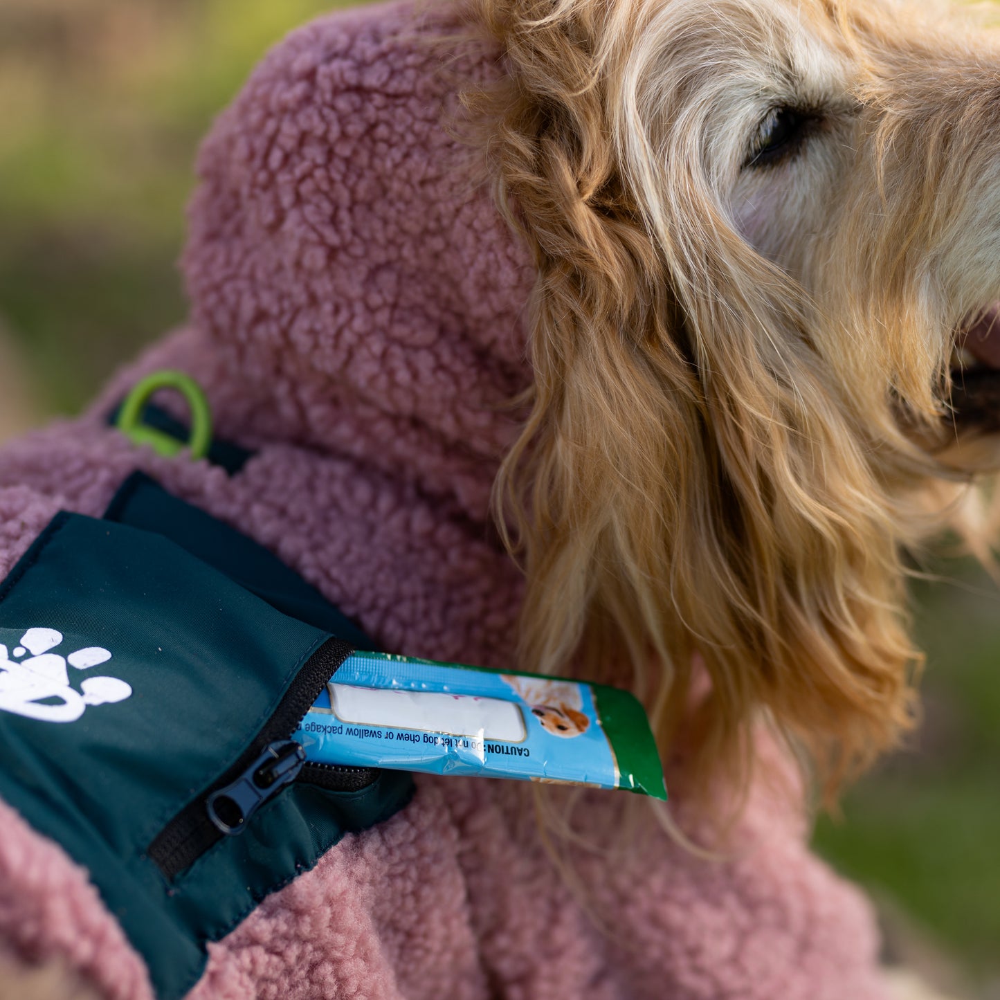 Chiporro Fresh Doggos - Colección Chiperros Fresh Doggos - Palo rosa, verde