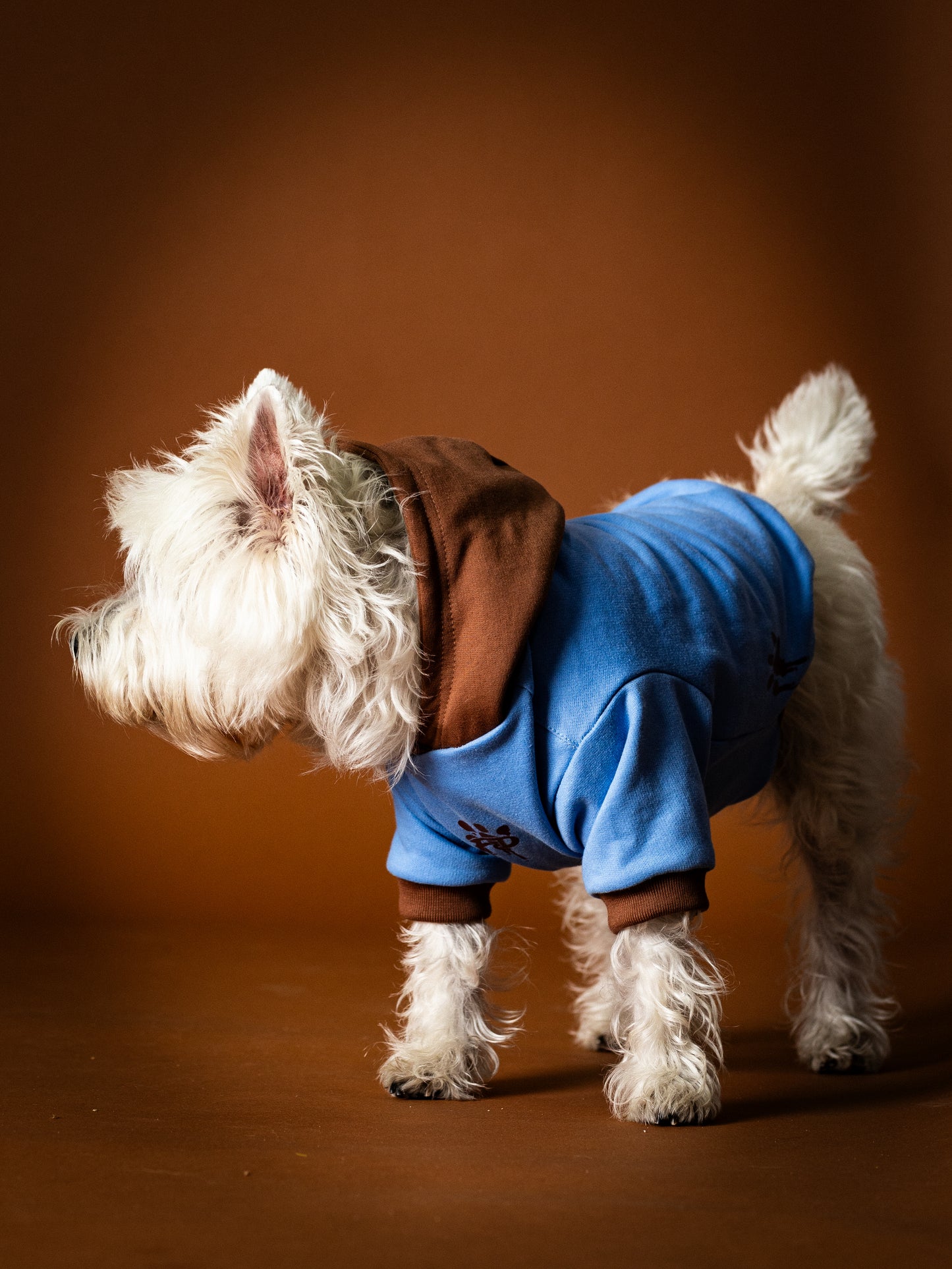Polerón de Algodón para Perros - Colección FD25 2025 | Colores de Temporada y Estampados Exclusivos Celeste  / Café Moka