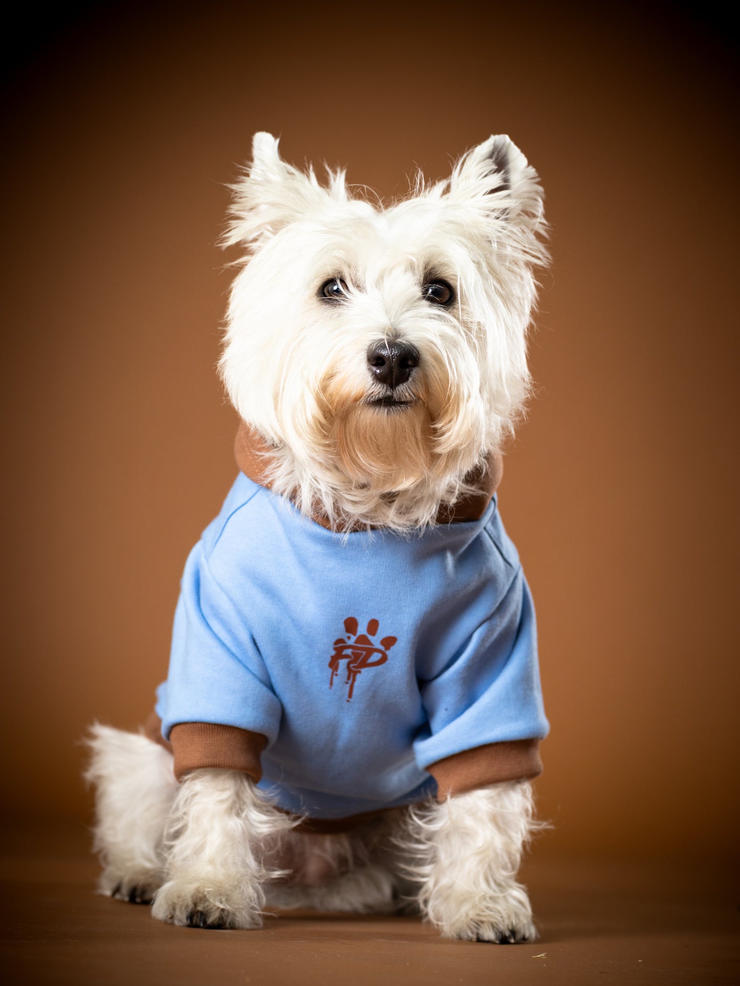 Polerón de Algodón para Perros - Colección FD25 2025 | Colores de Temporada y Estampados Exclusivos Celeste  / Café Moka
