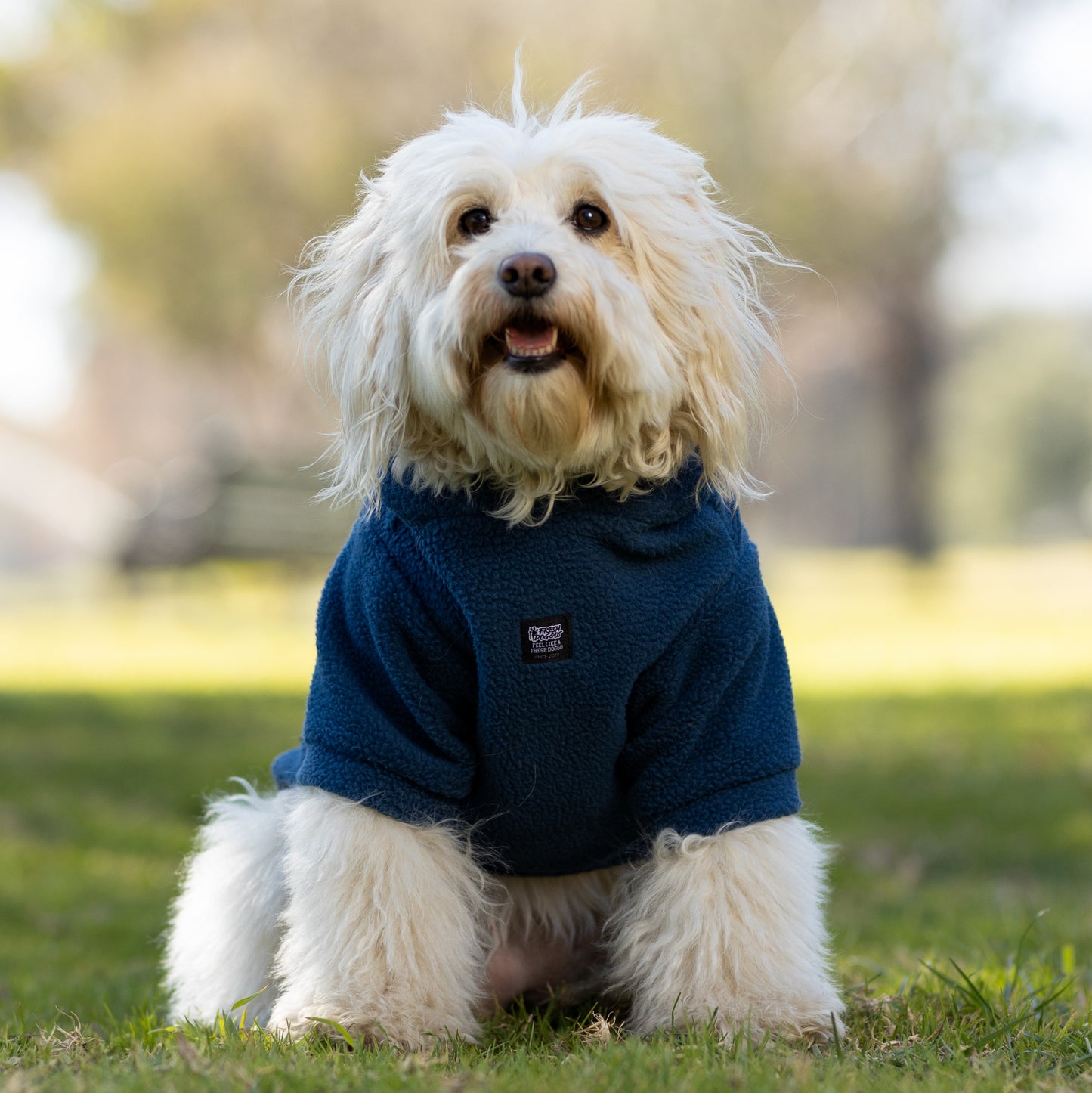 Chiporro Fresh Doggos - Colección Chiperros Fresh Doggos - Azul, Fucsia