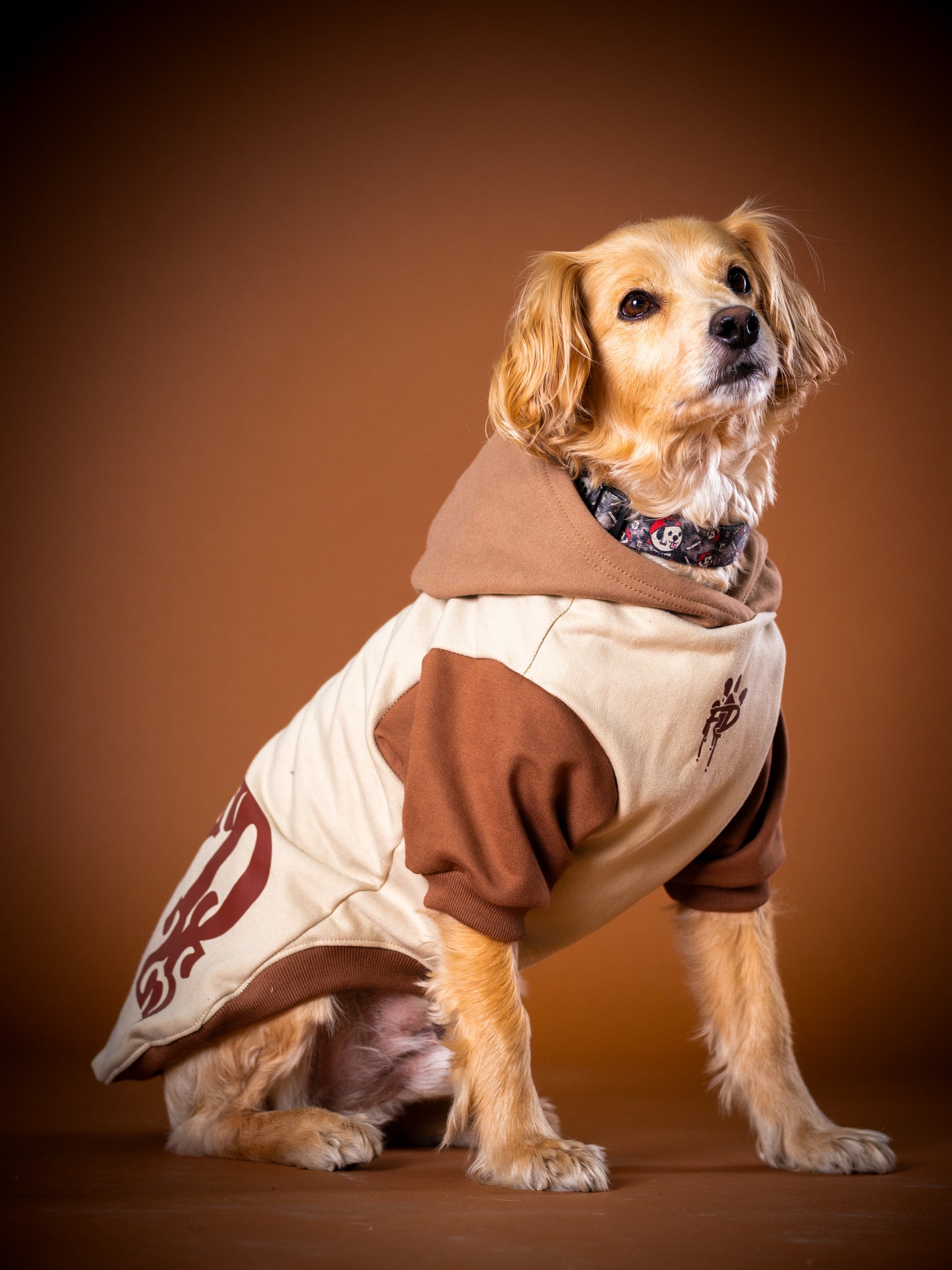 Polerón de Algodón para Perros - Colección FD25 2025 | Colores de Temporada y Estampados Exclusivos Trilogía tierra