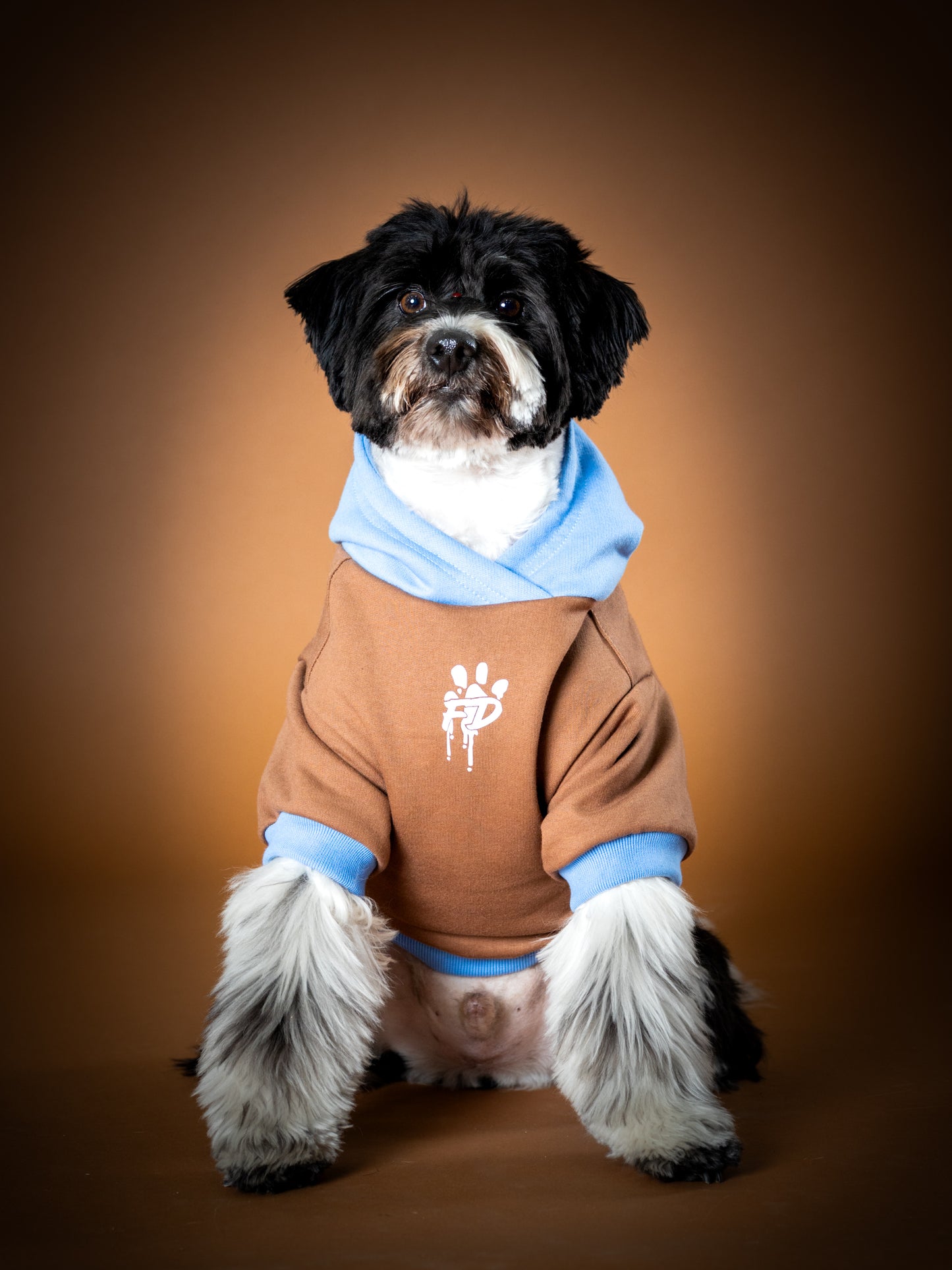 Polerón de Algodón para Perros - Colección FD25 2025 | Colores de Temporada y Estampados Exclusivos Café Moka / Celeste