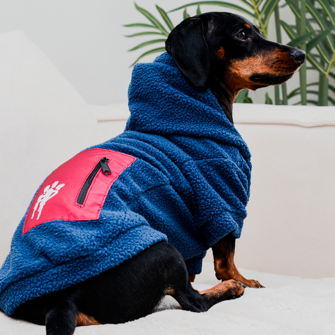 Chiporro para perro Chiperro Azul burdeo