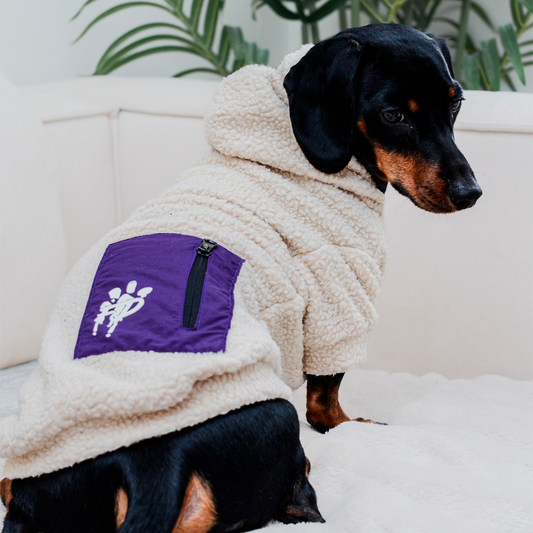 Chiporro para perro Chiperro Blanco crudo morado