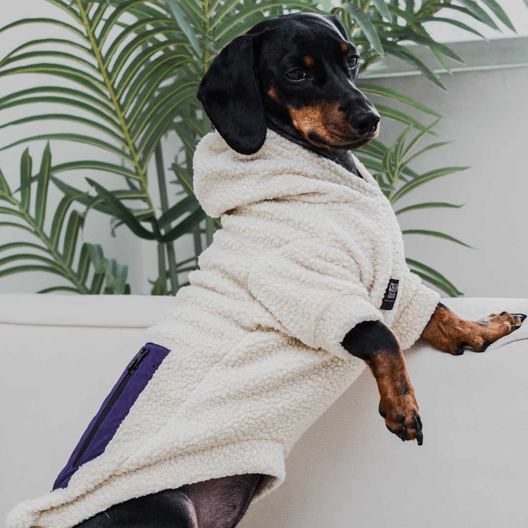 Chiporro para perro Chiperro Blanco crudo morado