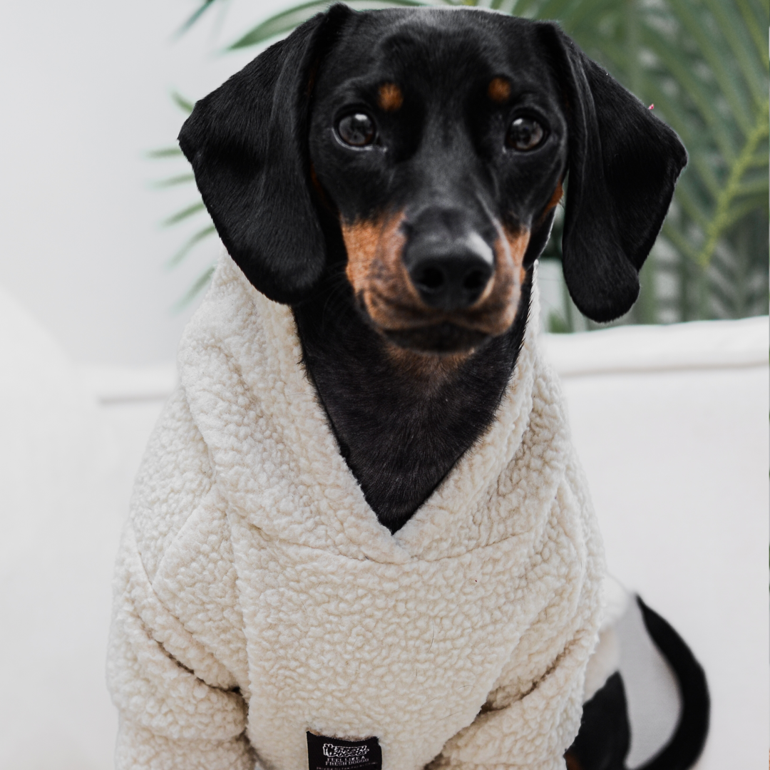 Chiporro para perro Chiperro Blanco crudo morado